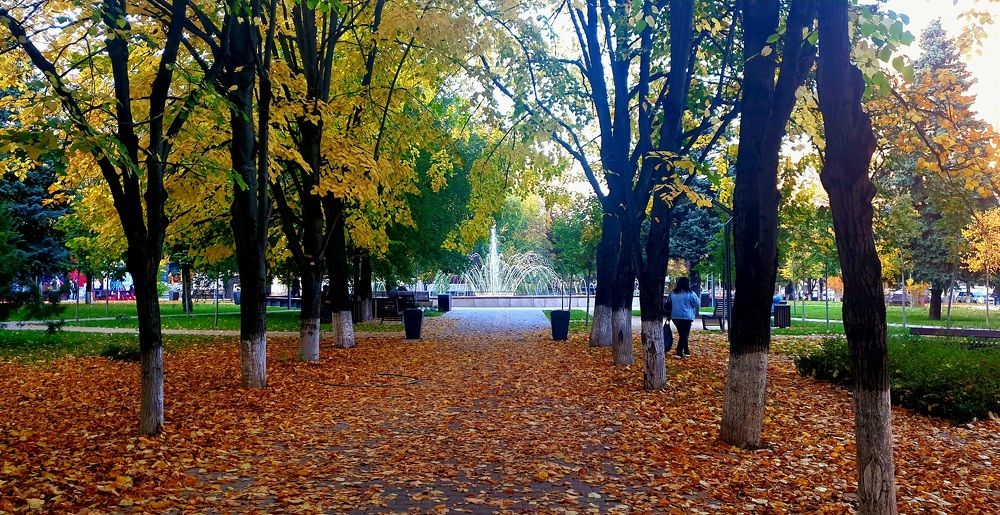 Photograph by Метушова Анна