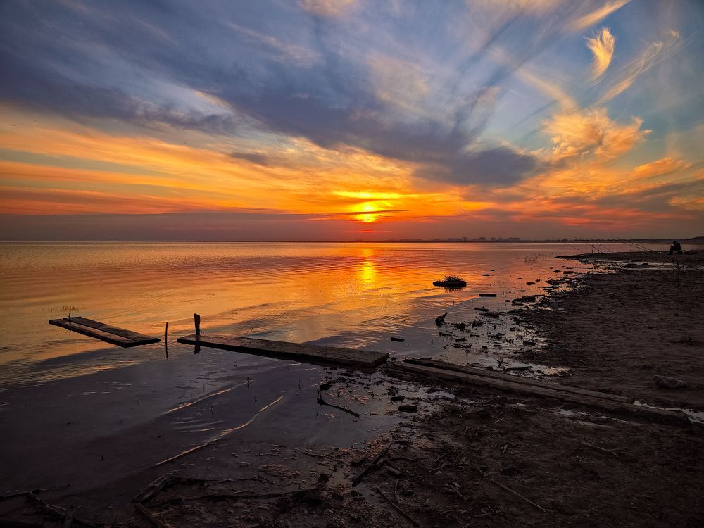 Фотография автора Елена Литовская