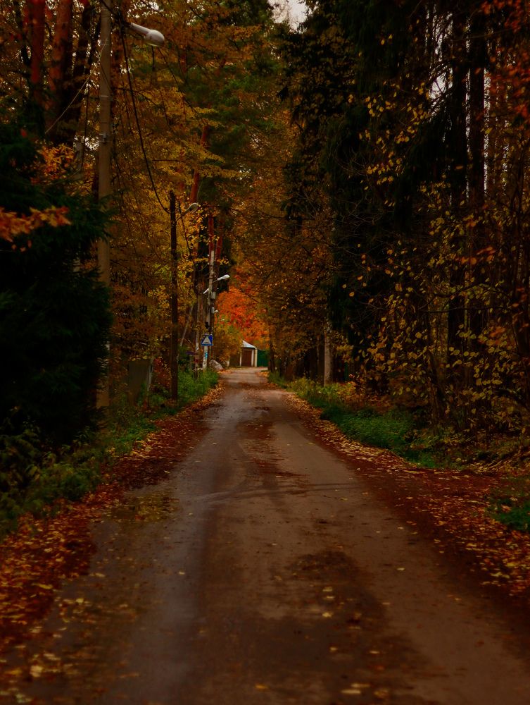 Photograph by Irina Sorokoletova