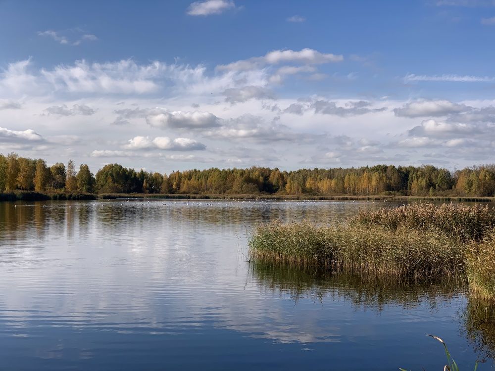 Photograph by Надежда Смирнова