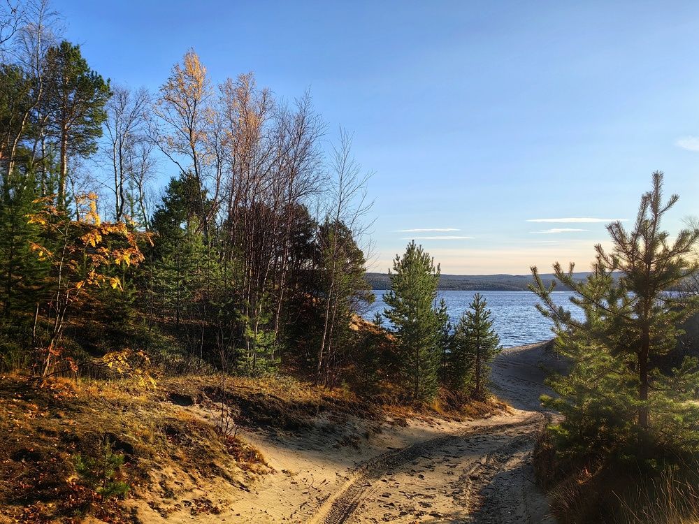 Фотография автора Татьяна Даль