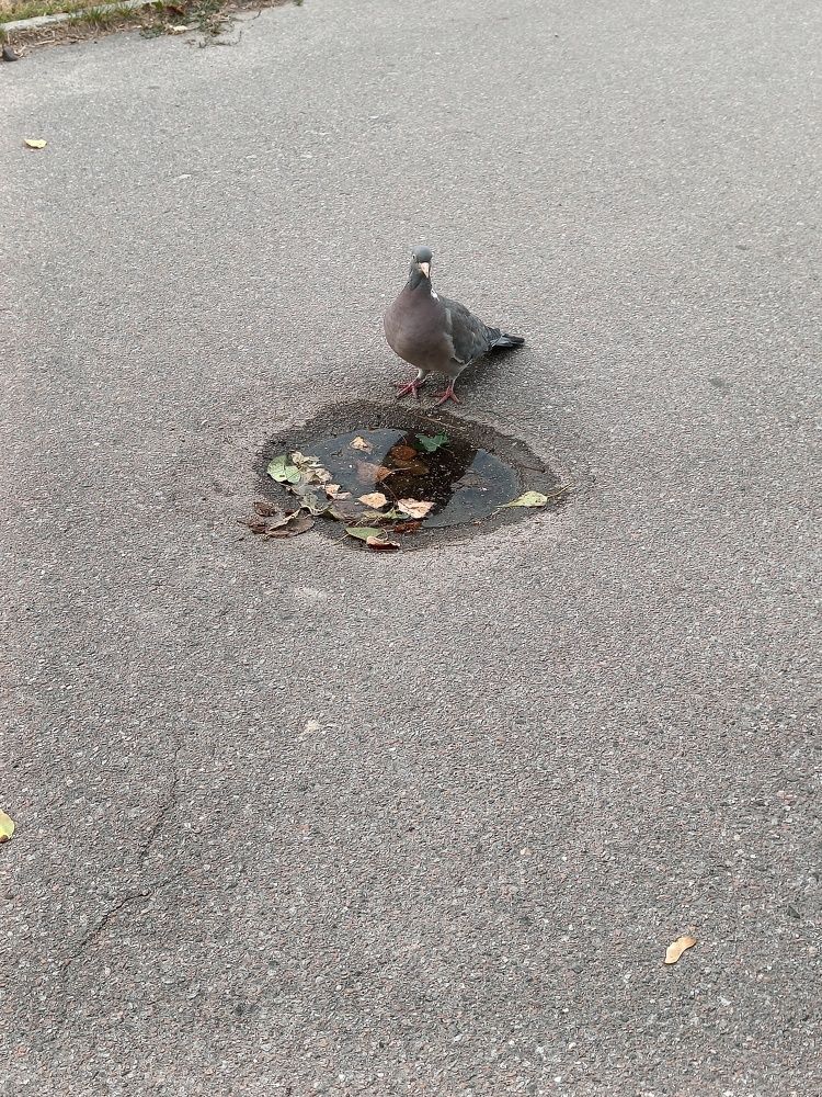 Photograph by Карина Слабкая