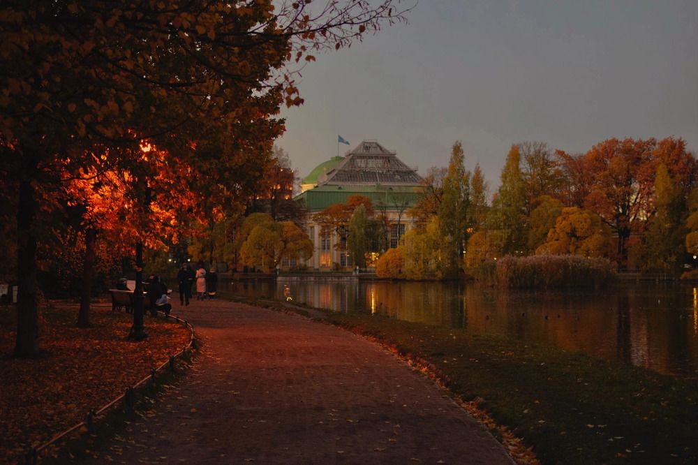 Photograph by Ирина Волгина