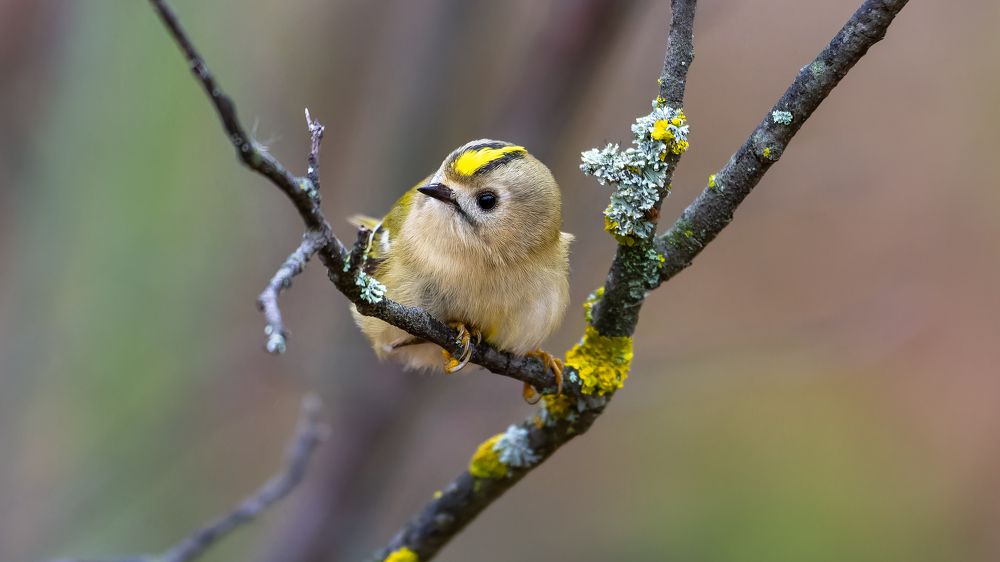 Photograph by Вадим Мелихов