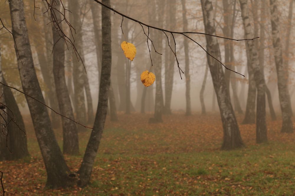 Photograph by 