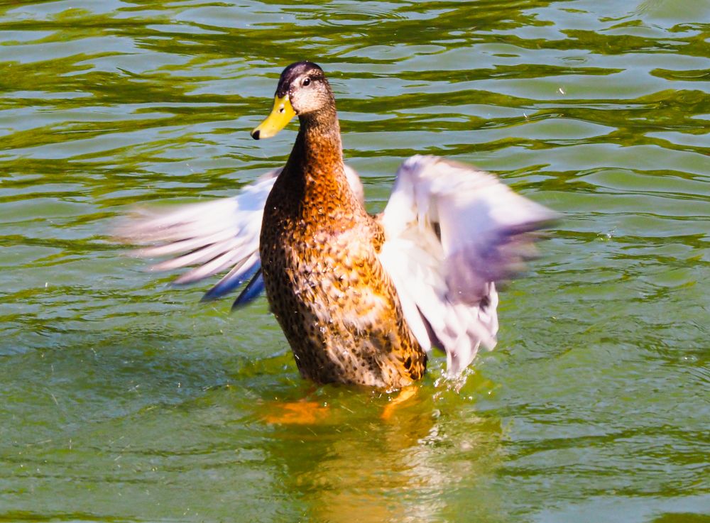 Photograph by Олег