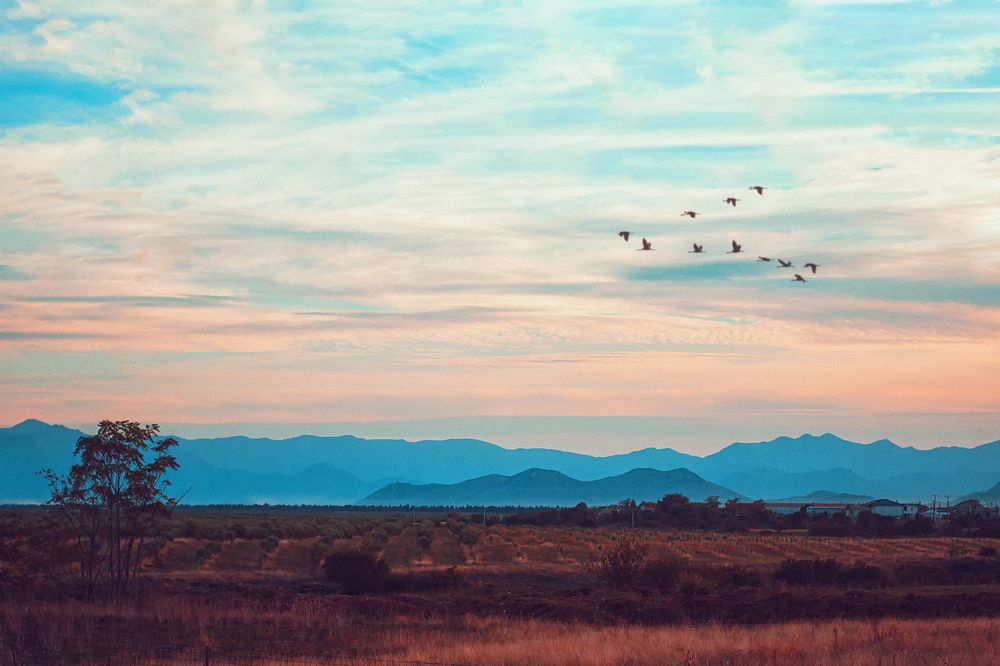 Photograph by Lana Soldatova