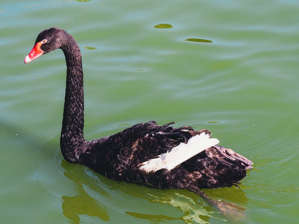 Photograph by Олег