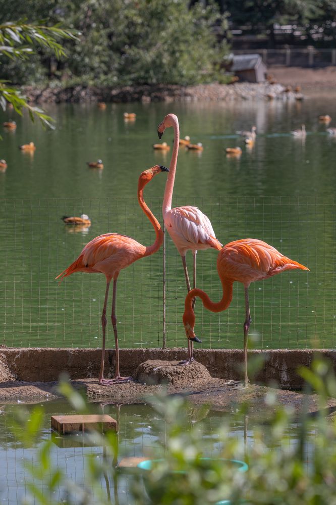 Фотография автора Rom@shkin