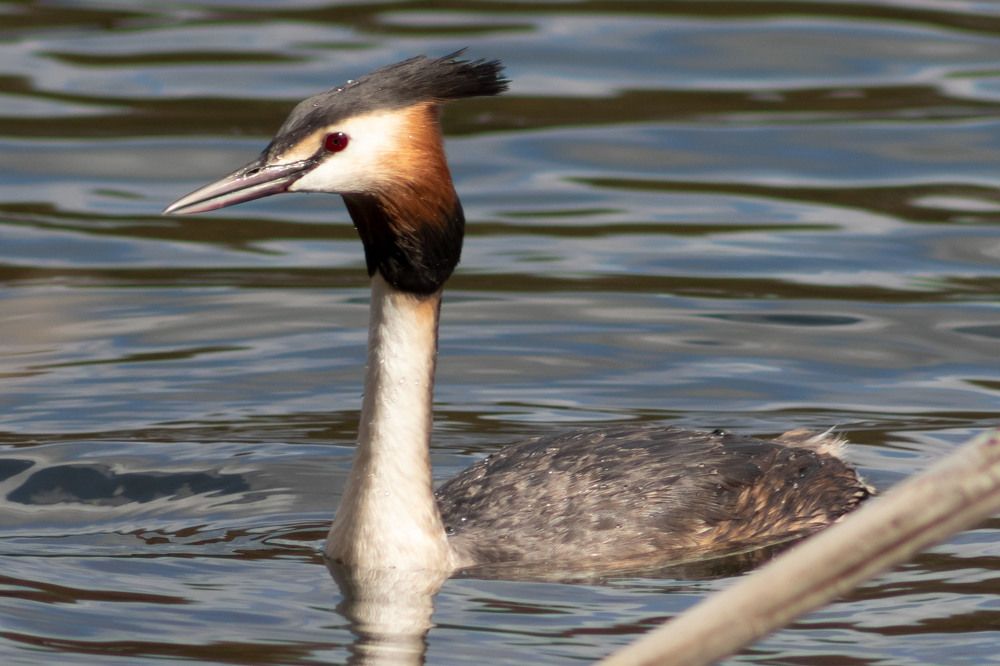 Photograph by Вера Почкалина