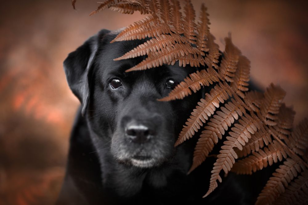 Photograph by Евгения Костусева