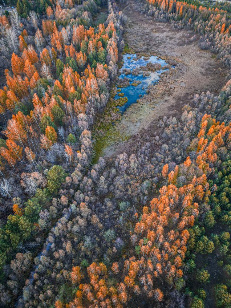 Photograph by Konstantin Martynov