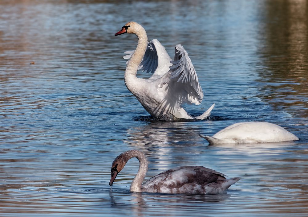 Photograph by Владимир Кваша