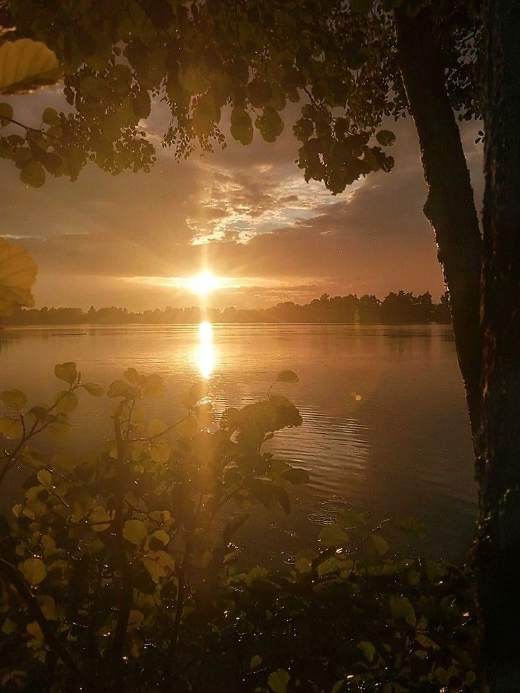Photograph by Мария