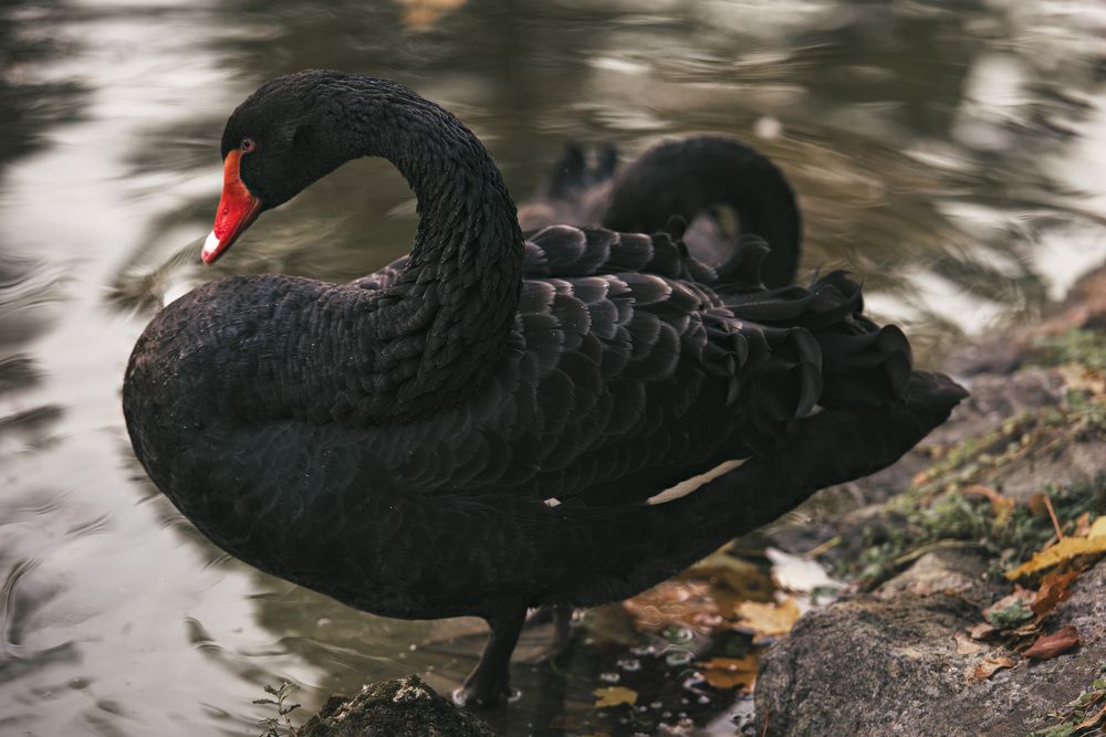 Photograph by Vera Nefedova