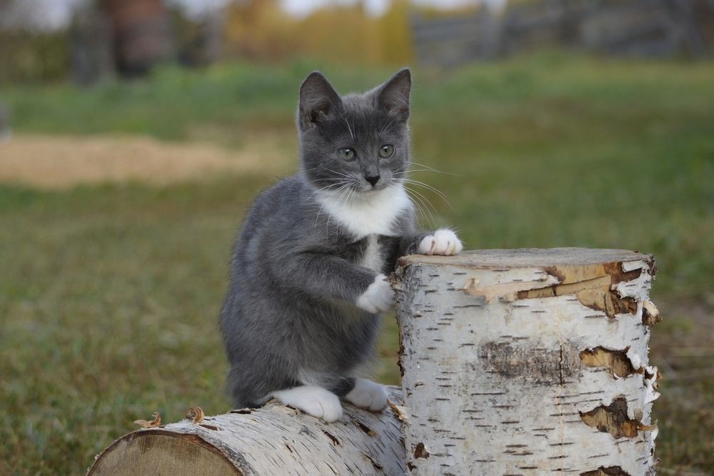 Photograph by Галина Катанова