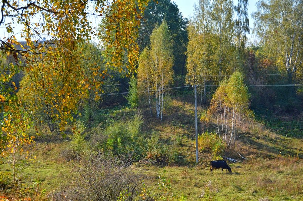 Photograph by Анна Богданова