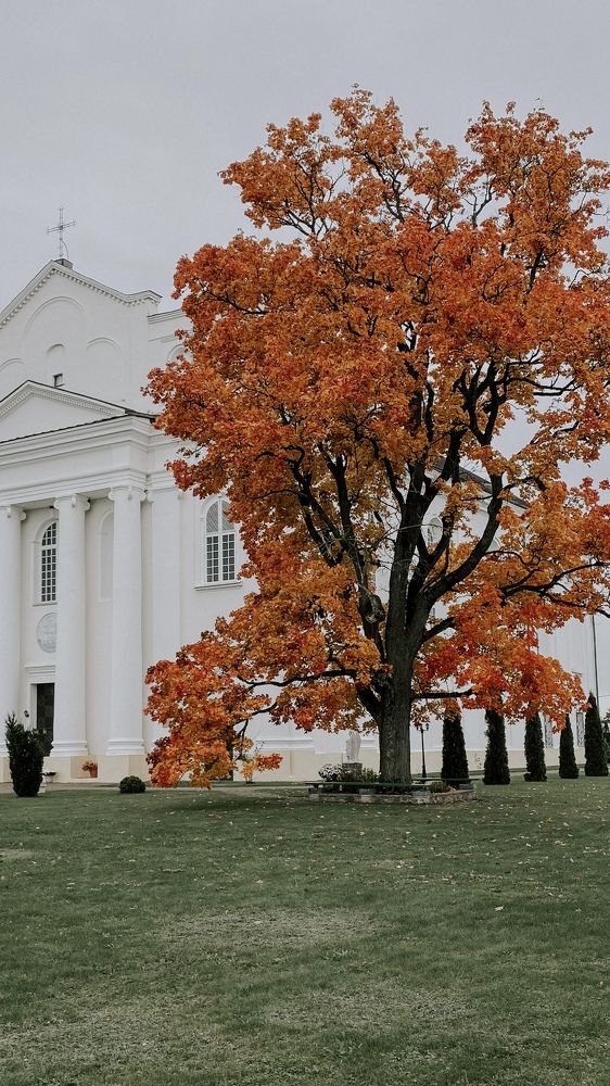 Photograph by Оксана Сологуб