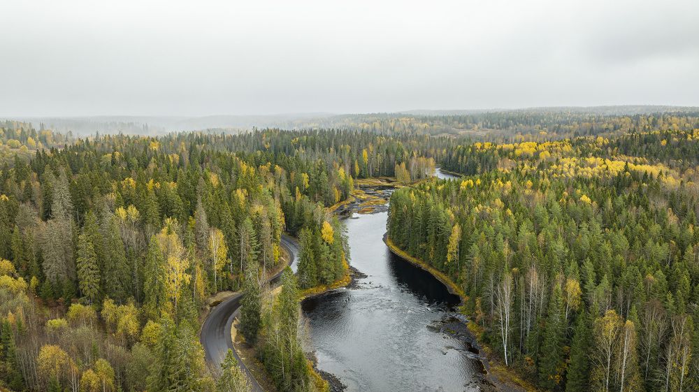 Фотография автора Иван Миллер