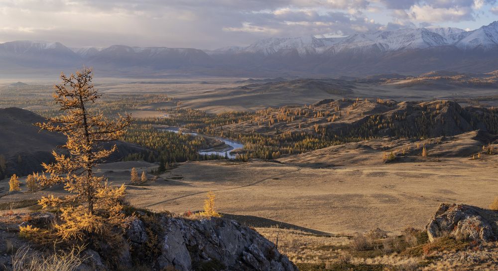 Фотография автора Галина