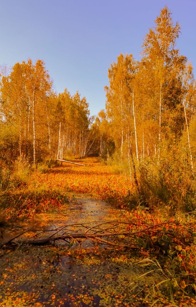 Photograph by Алексей Горин