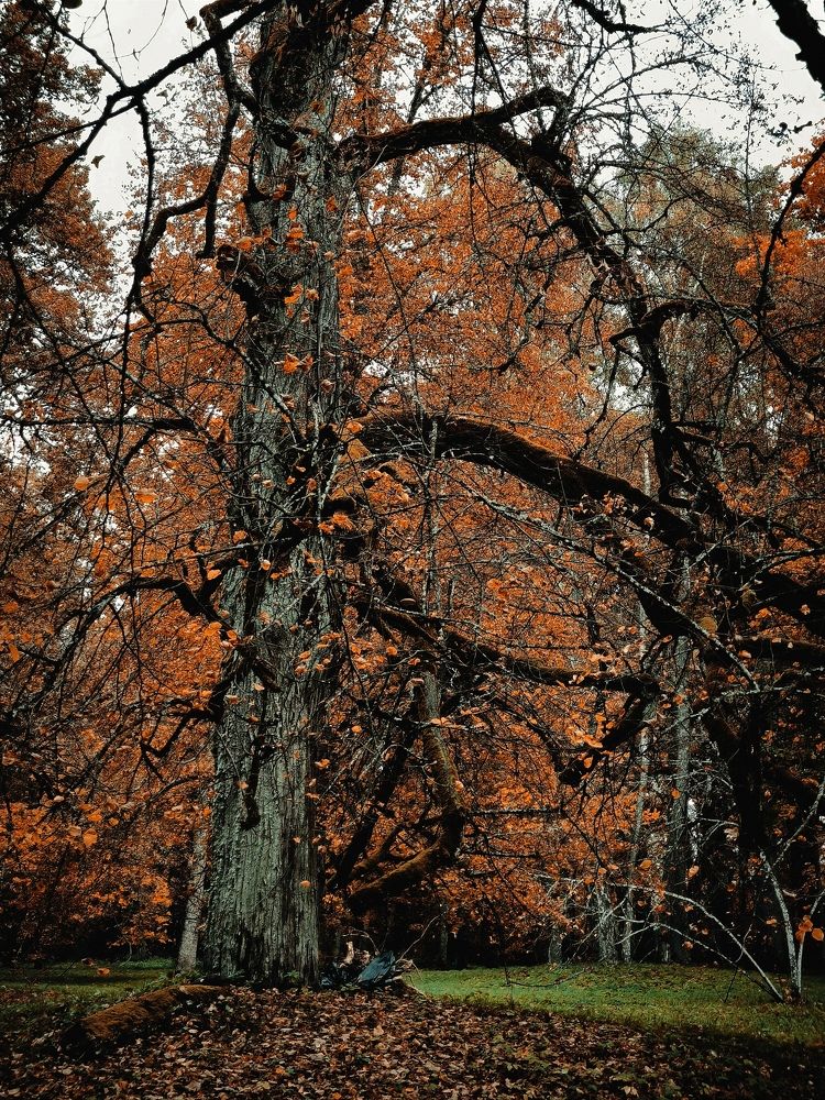 Photograph by Ksenija Bartoško