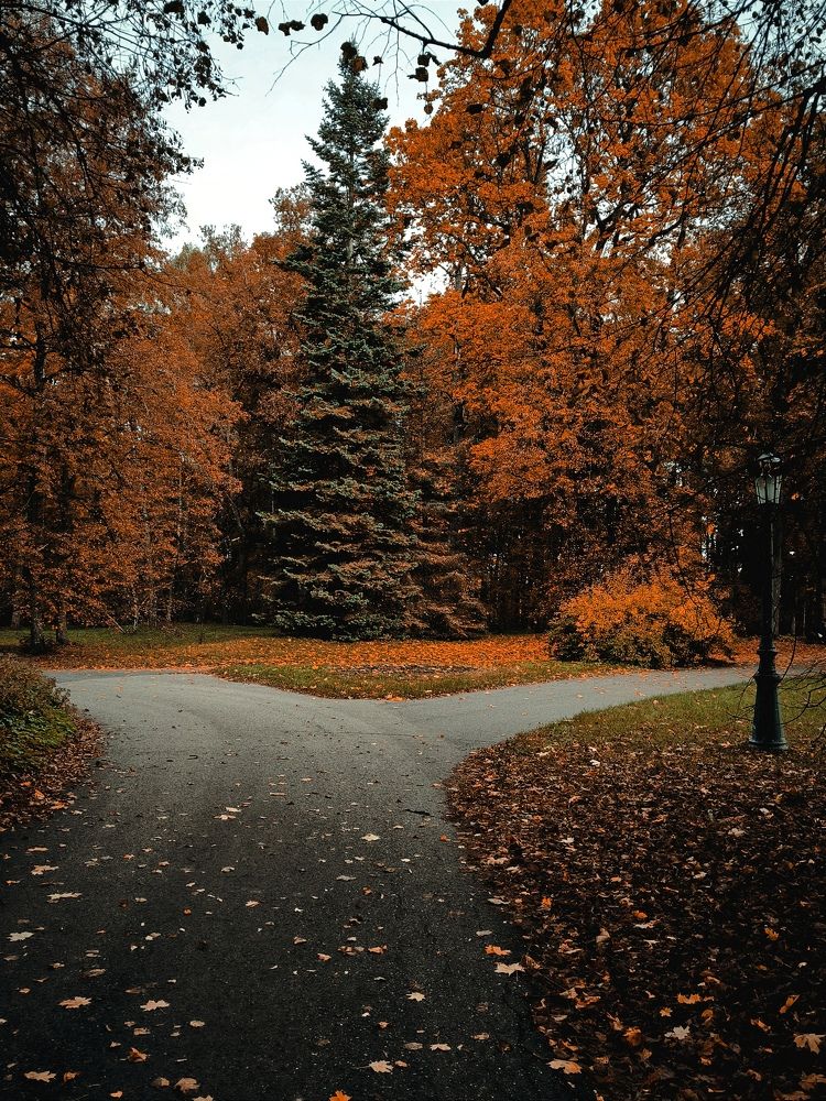 Photograph by Ksenija Bartoško