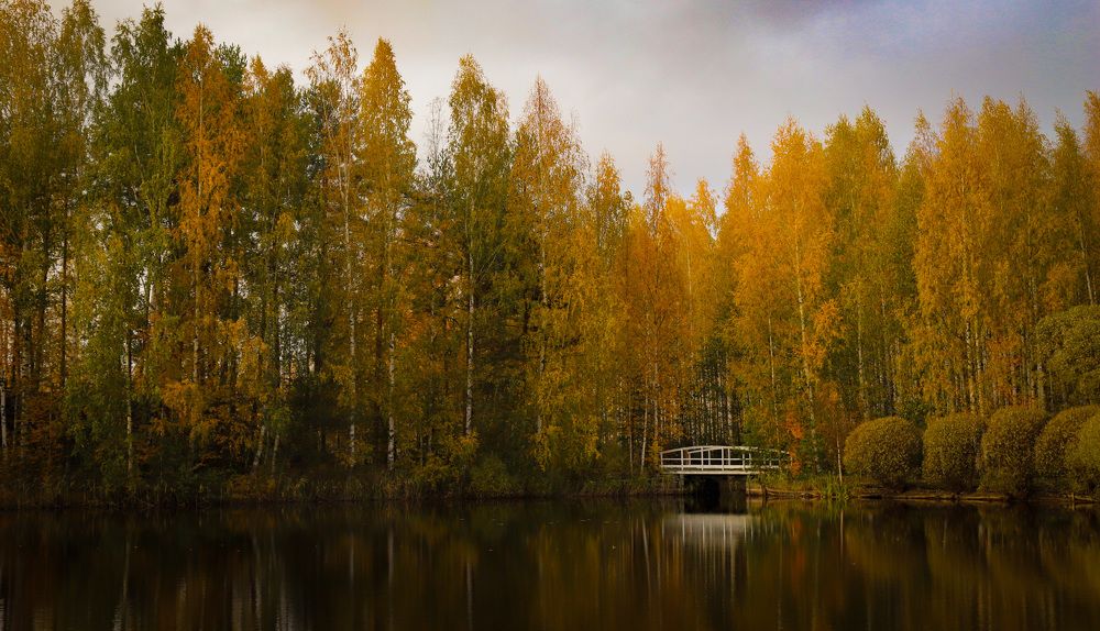 Photograph by Елена Шавшина