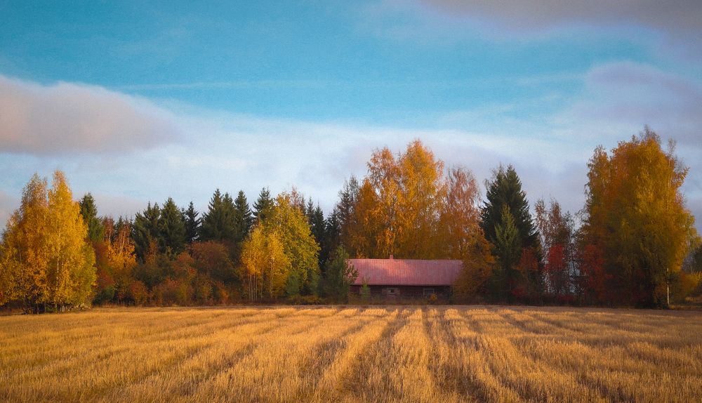 Photograph by Елена Шавшина