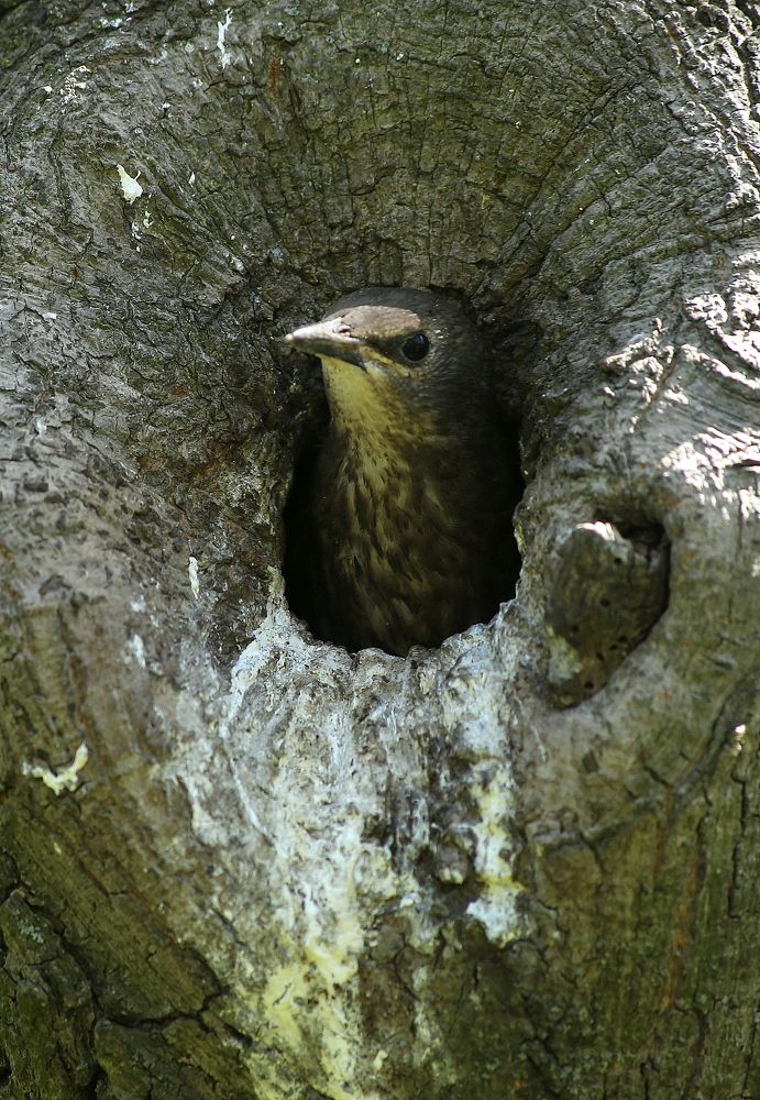 Photograph by елена