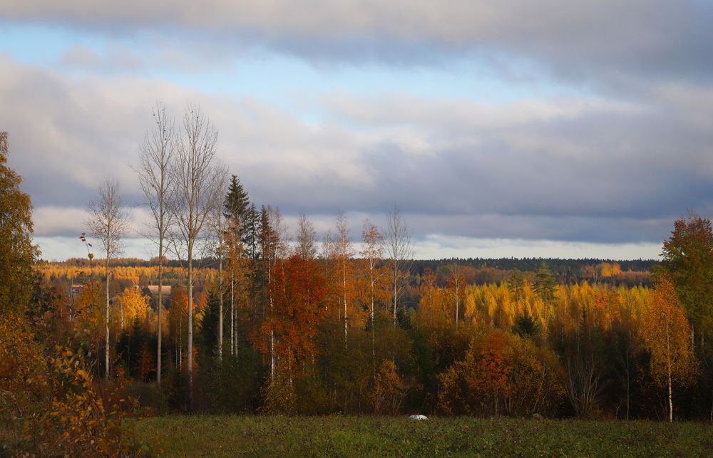 Photograph by Елена Шавшина