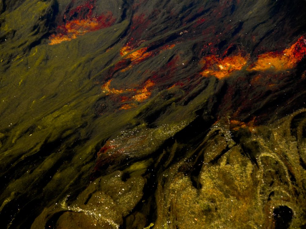 Photograph by keyhan maserat