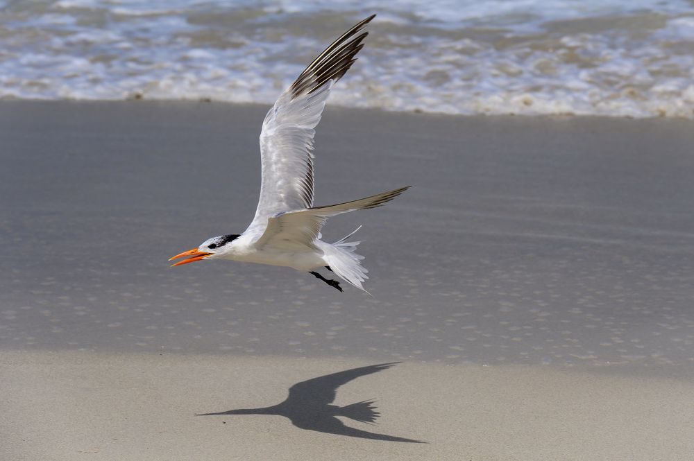 Photograph by Вячеслав Белов