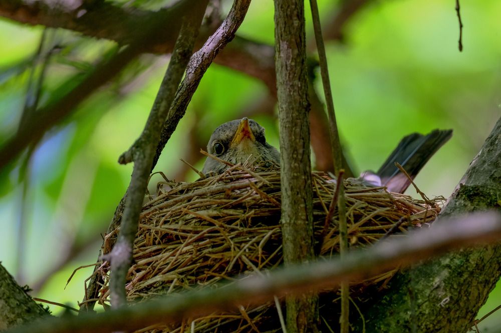 Photograph by Вячеслав Потемкин