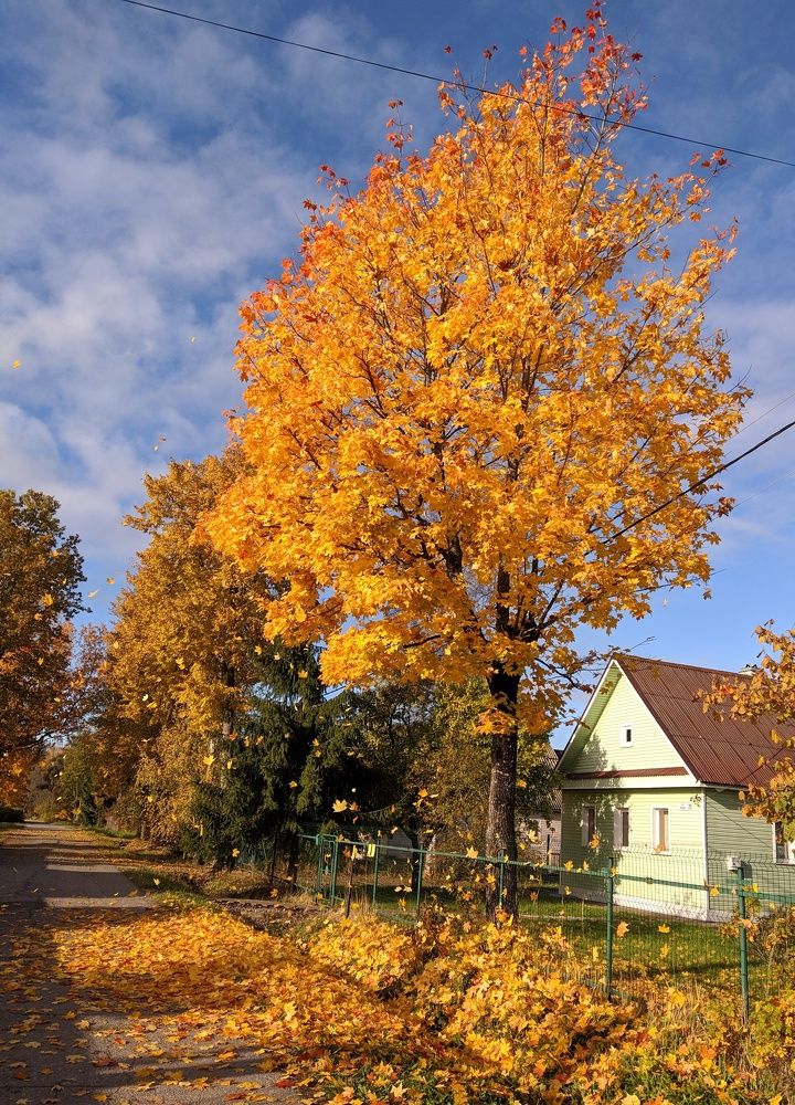 Photograph by Александр Пинаев