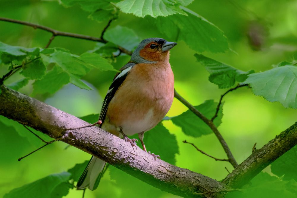 Photograph by Вячеслав Потемкин