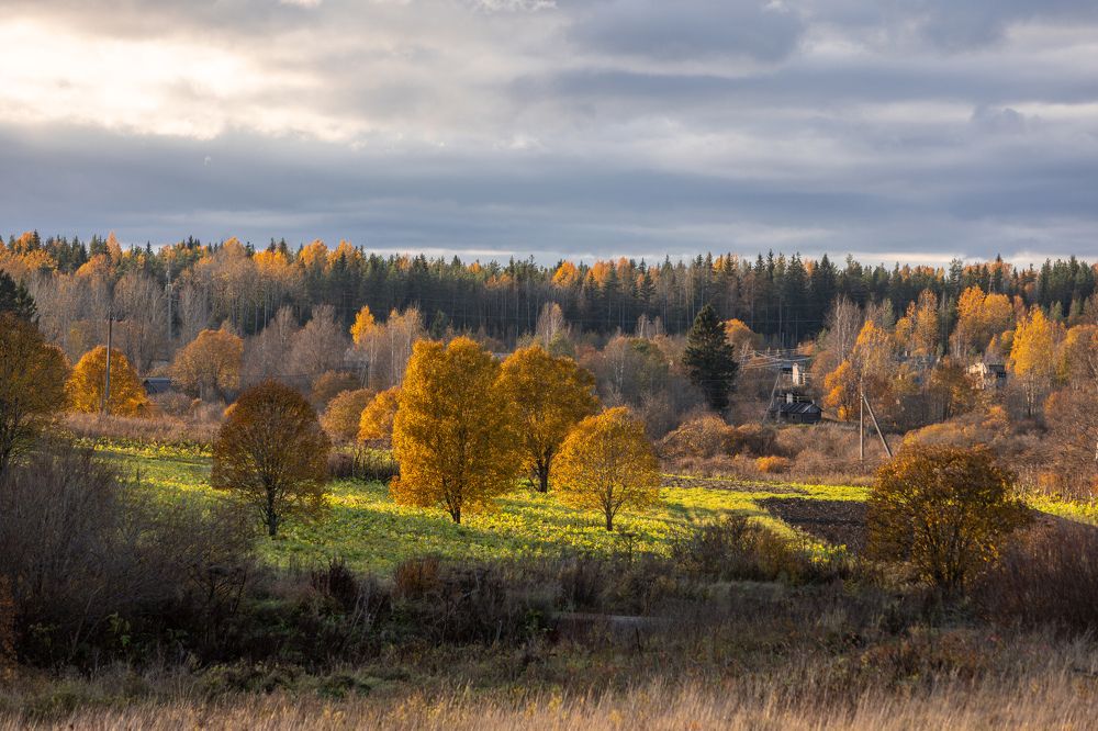 Photograph by Николай Рымар