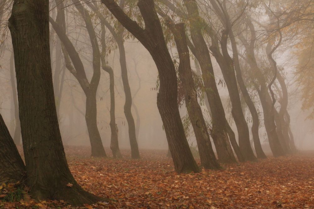 Фотография автора Сергей Кульков