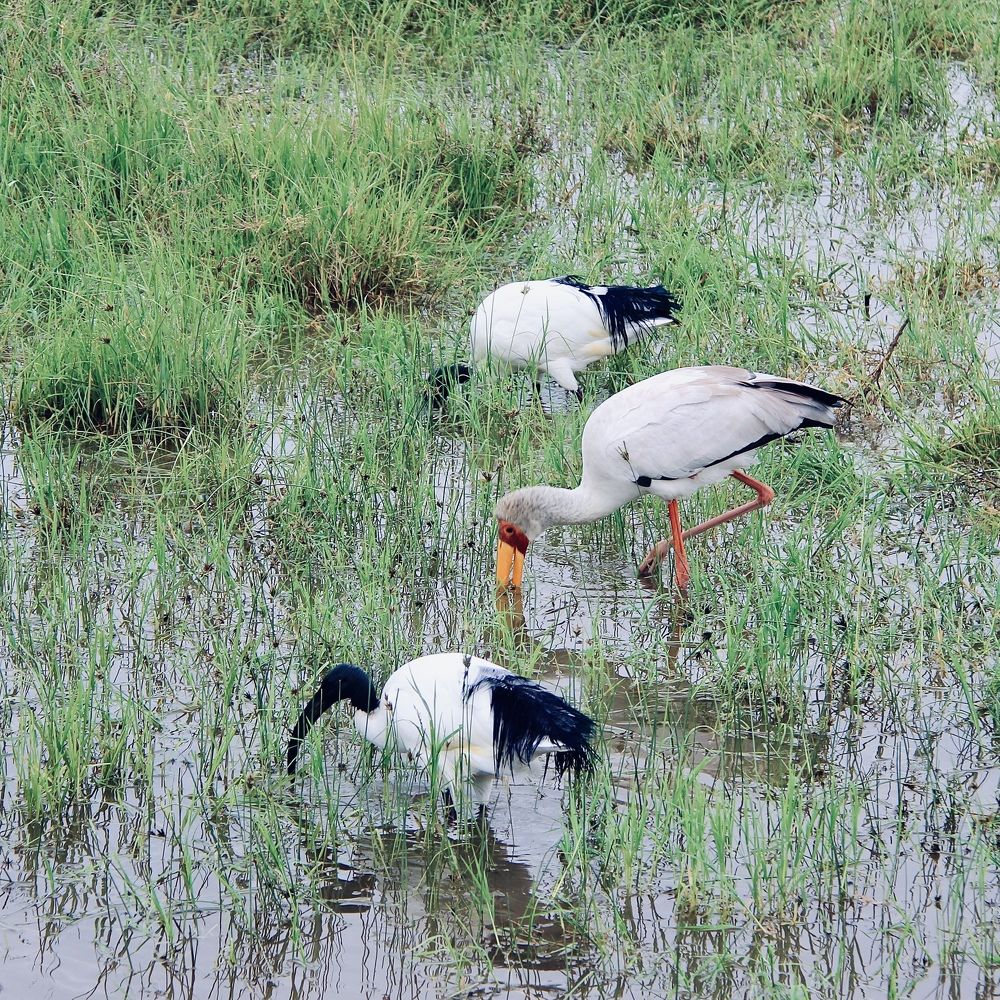 Photograph by Олег Банковский