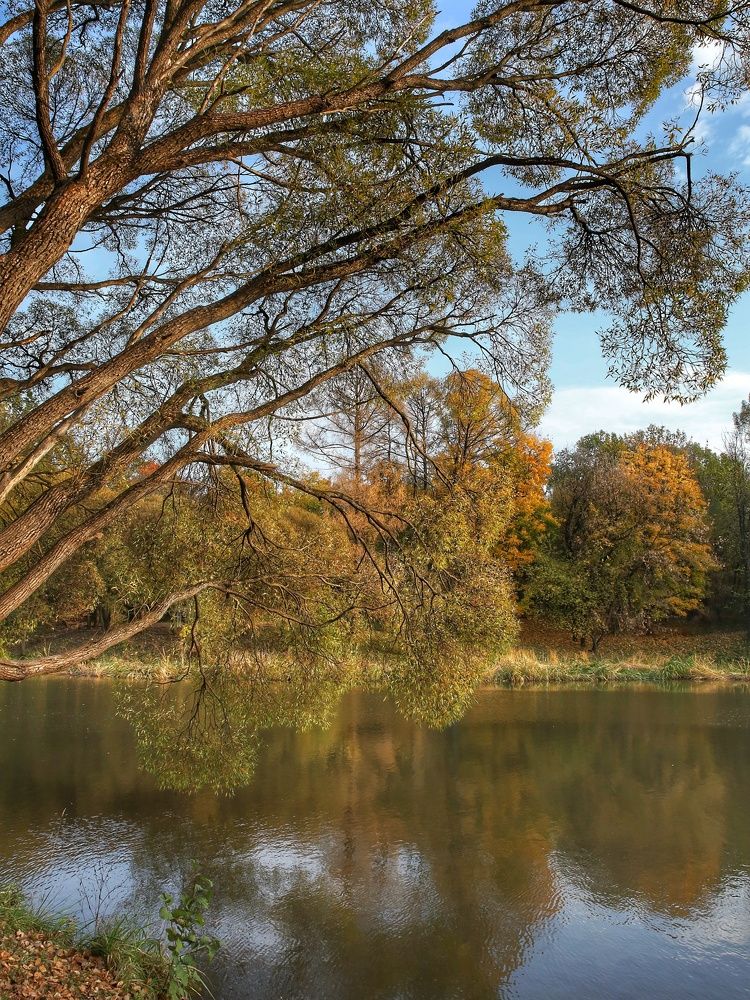 Photograph by Angelica Medvedeva