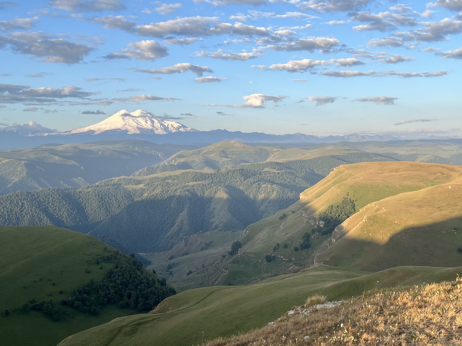 Photo #11162633