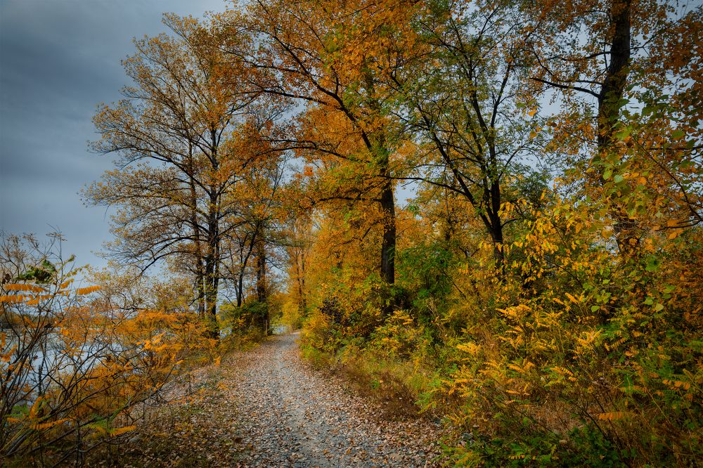 Photograph by Владимир Кваша