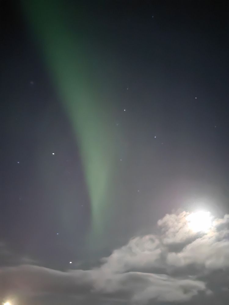 Photo #11162684