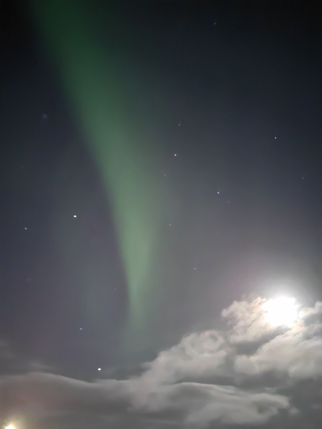 Photo #11162684