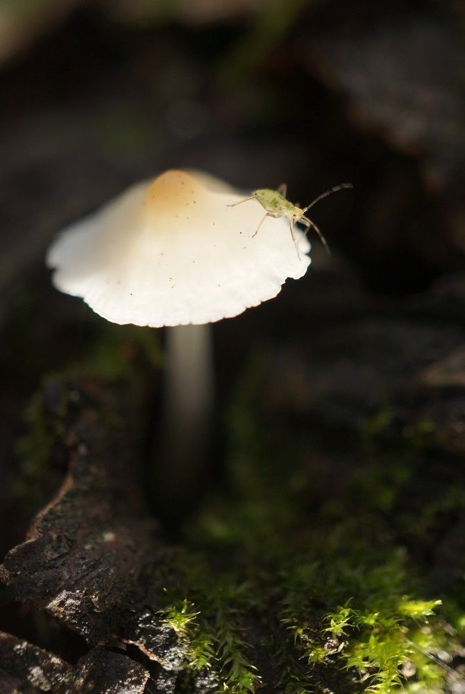 Photograph by Наталья Горбунова