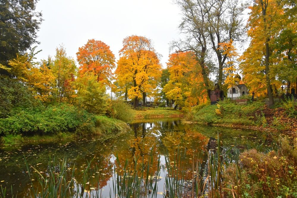 Photograph by Евгений Захаров