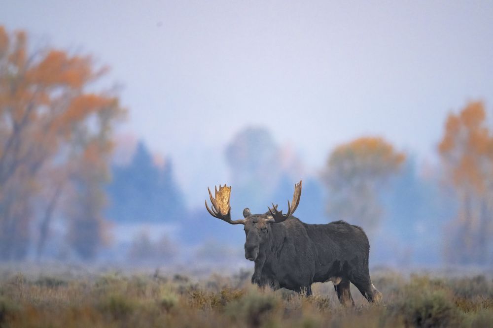 Photograph by Miller Dave