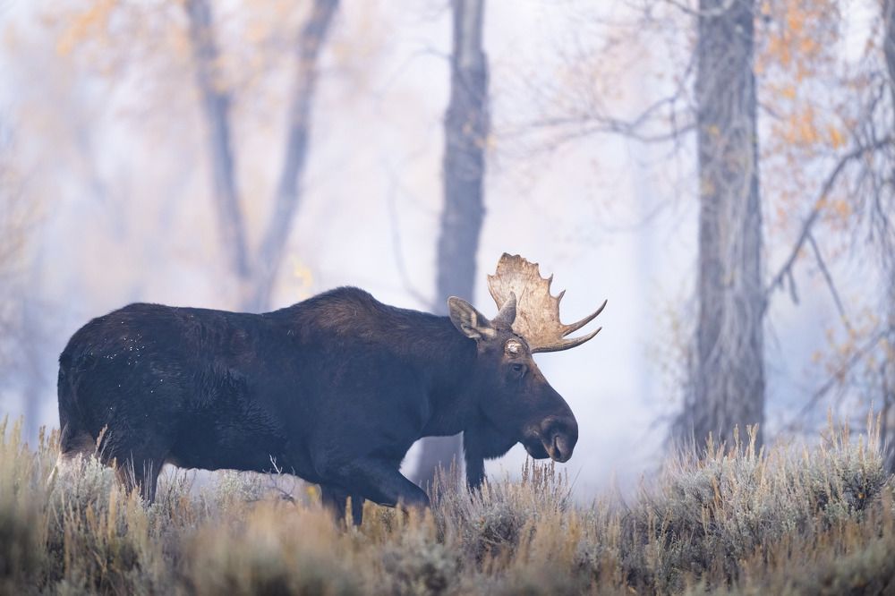 Photograph by Miller Dave