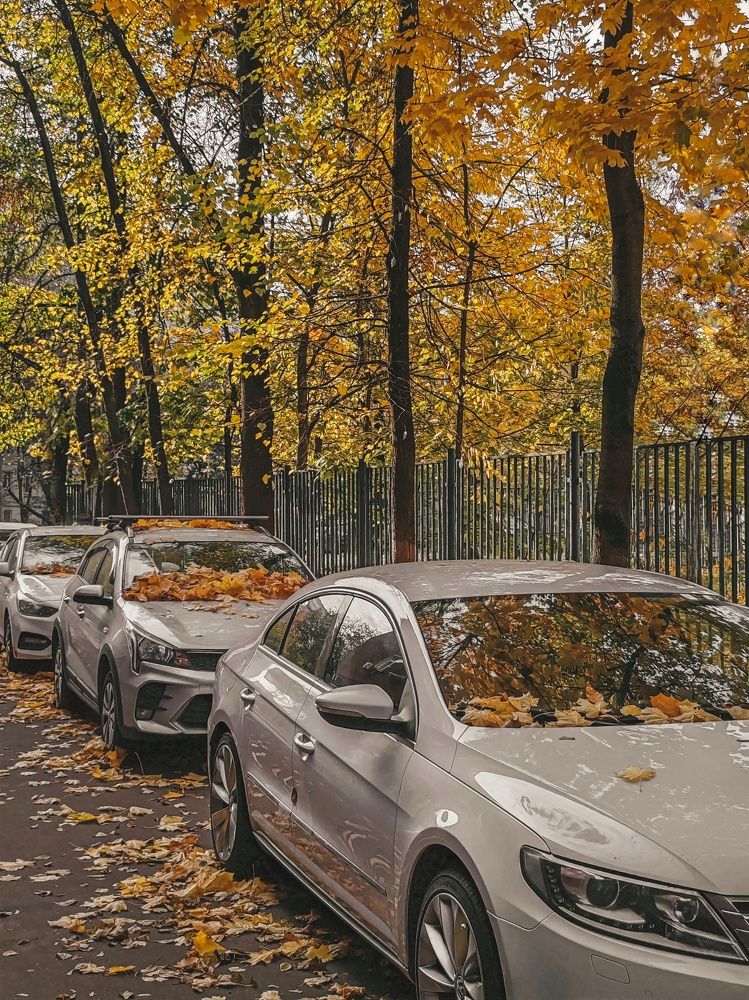 Photograph by Анастасия Лотова