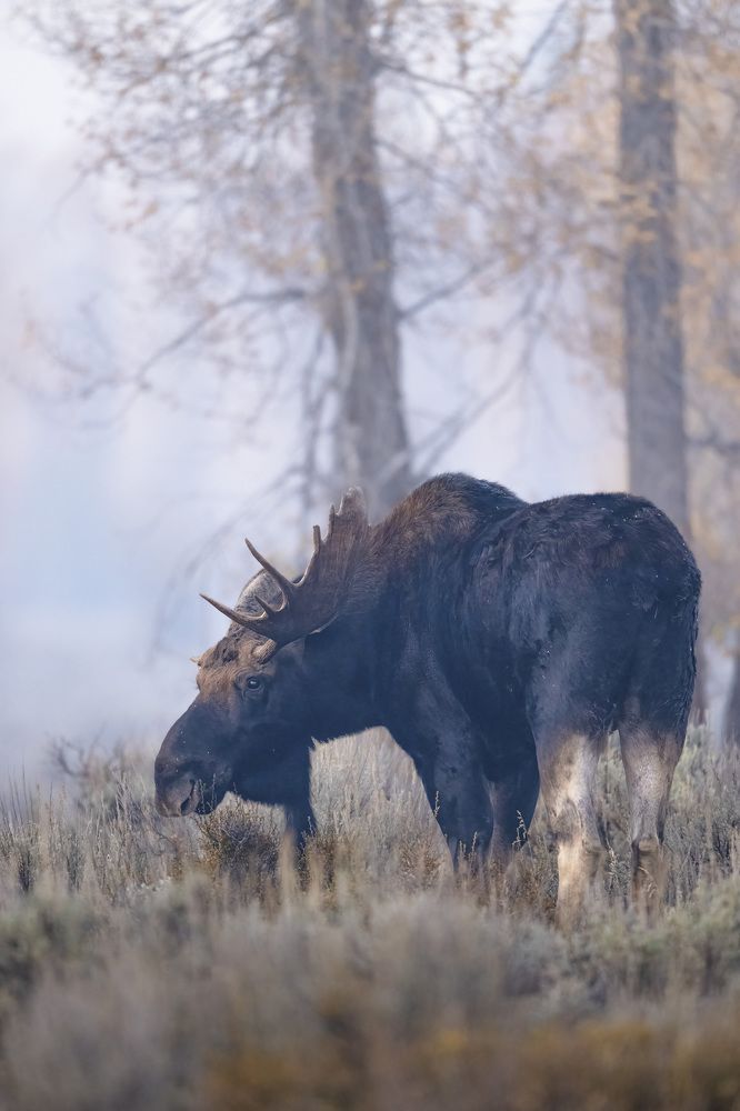 Photograph by Miller Dave